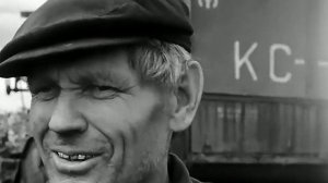 1974 год. Тобольский район. Уборка подсолнечника на силос.
