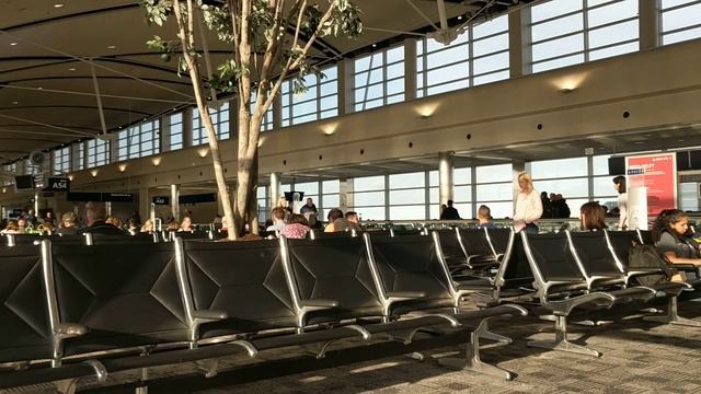 Размышления в аэропорту Детройта смотреть онлайн