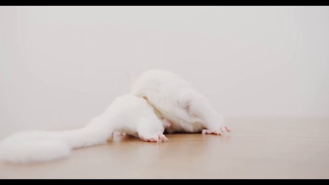 Волшебные звуки релаксации: музыка для успокоения ума и тела. смотреть онлайн