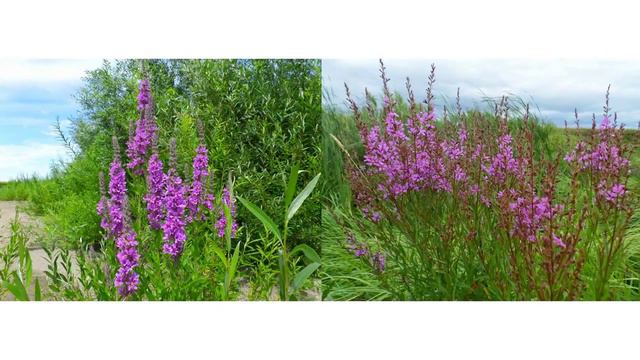 СтерлитамАК!Year in Photos 2014 смотреть онлайн