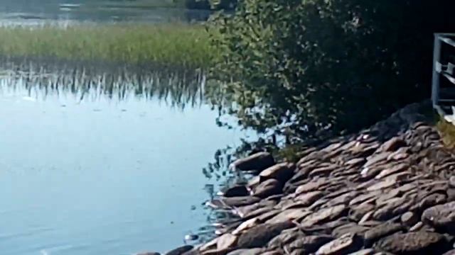 Антониево-Дымский монастырь. Святое озеро смотреть онлайн