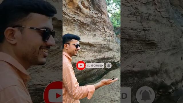 Fly Of To Butterfly ? | FZ Knowledge Status | SUBSCRIBE NOW For New Knowledge смотреть онлайн