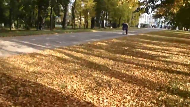 Saint-Petersburg, str. Pushkin, Alexandrovsky park, i Quadro Copter смотреть онлайн