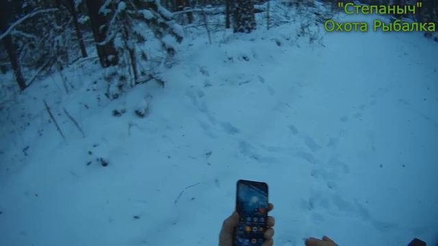 2 день Большой круг В поисках Дика (1 часть) 15 11 23 смотреть онлайн