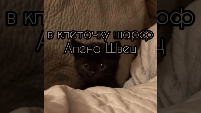 Алёна Швец- в клеточку шарф/кавер на укулеле смотреть онлайн