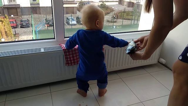 Рыба 2 .02. 20 смотреть онлайн