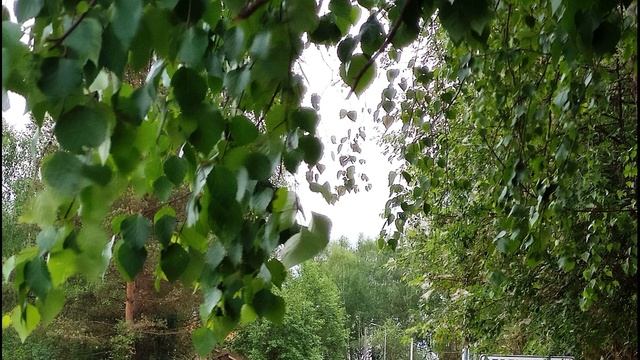 Е Вадимов Русская культура #стихиорусскойкультуре #поэты20века смотреть онлайн