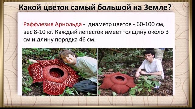 Самые самые