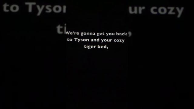 Hangover - Best Friend Doug - cover by Jesse Forrester смотреть онлайн