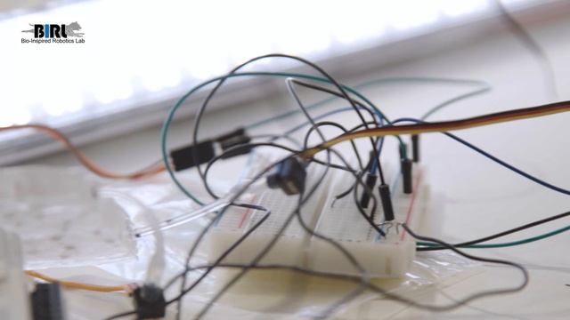 Robot Lab Live: University of Cambridge - Bioinspired Robotics Lab смотреть онлайн