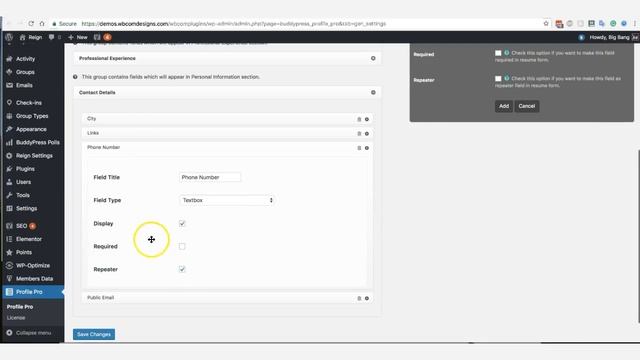 BuddyPress Profile Pro Settings | Create Professional Member Profile like Linkedin On WordPress смотреть онлайн