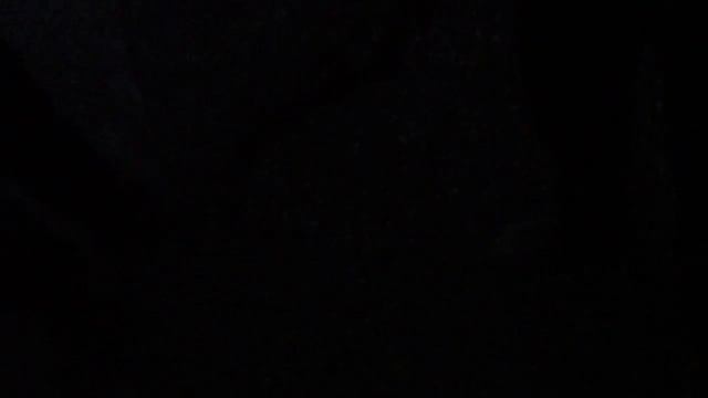 Счастливые обладатели саженцев хурмы "Сосновская". смотреть онлайн