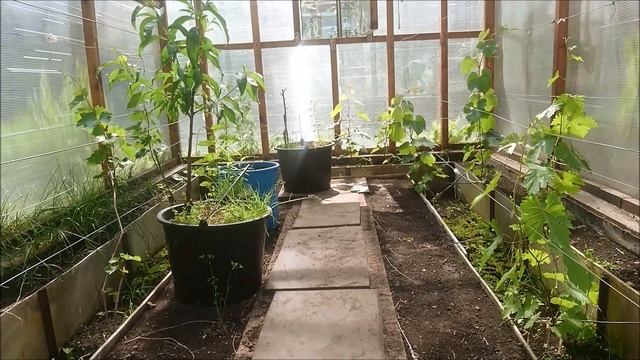 Пропащий сезон винограда 2018 смотреть онлайн