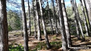 Горные тропы