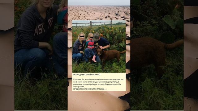 ПОСЛЕДНЕЕ СЕМЕЙНОЕ ФОТО смотреть онлайн
