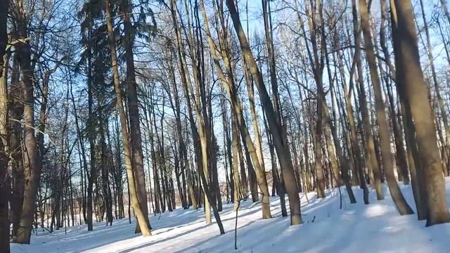 Обзор усадебного парка им. доктора Ф.П. Гааза в селе Тишково Пушкинского района (02.03.22) смотреть онлайн