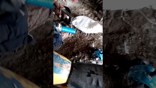 минск заводим после 4-х месяцев простоя смотреть онлайн
