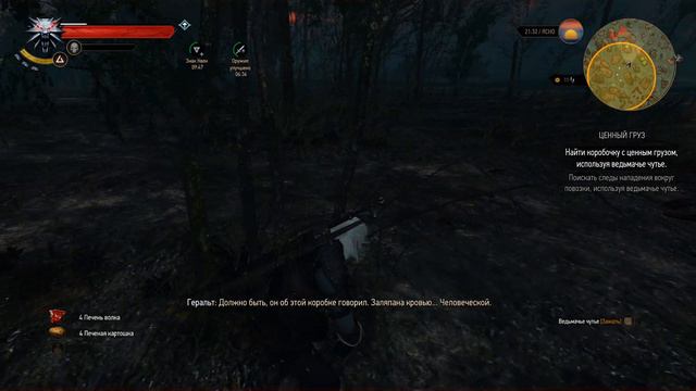 The Witcher 3: Wild Hunt (Серия 05) Новые Мечи смотреть онлайн