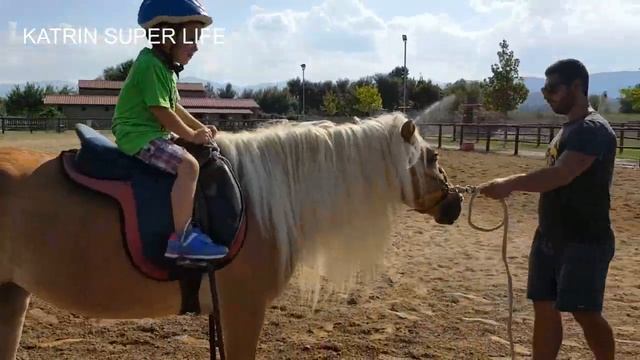 НИКОЛА КАТАЕТСЯ НА КОБЫЛЕ ПОРОДЫ ХАФЛИНГЕР смотреть онлайн
