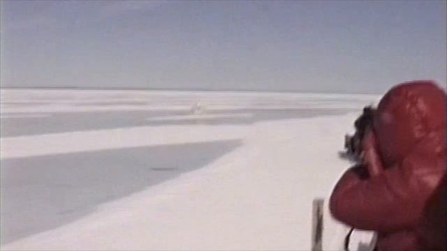 Arctic adventures, Part 3: Inuit dogs, ice sleds, and polar bears смотреть онлайн