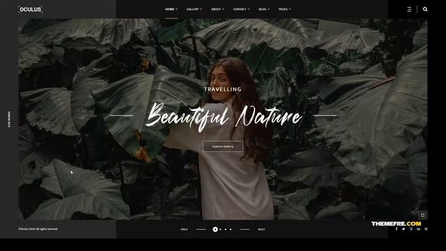 Oculus - Photography WordPress Theme portfolio business Yui смотреть онлайн
