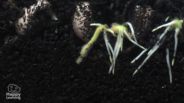 DESERTS | Educational Videos for Kids смотреть онлайн