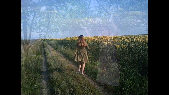 Вот и закончилось лето/ That`s the end of summer смотреть онлайн