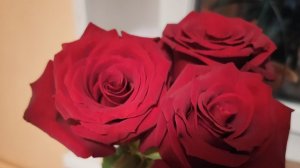 Часть 1:Подготовка к празднику/Режу и мариную Мясо на шашлык/Домашняя Заморозка выручает