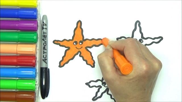 Рисунок, раскраска для детей МОРСКИЕ ЗВЕЗДЫ. Мультик- Раскраска. Учим цвета. Стихи для детей. смотреть онлайн