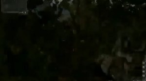 S.T.A.L.K.E.R. Чистое Небо (где найти экзоскелет)