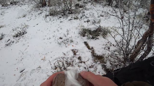 Поход в лес первый снег #bushcraft #поход #Лес #обед #Кольский #зима #мурманскийтурист #походвлес смотреть онлайн