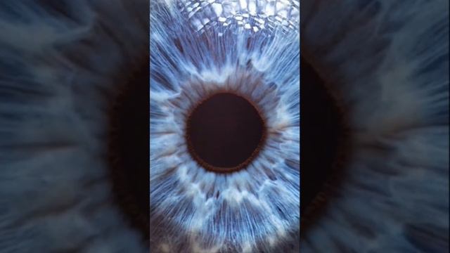 ЦВЕТ ГЛАЗ смотреть онлайн