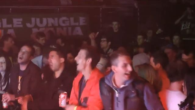 19 YEARS OF JUNGLE MANIA - THE REVIEW смотреть онлайн