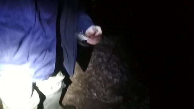 Налим на донку.Ёрш или кальмар лучшая насадка для налима? смотреть онлайн