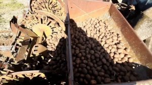 посадка картофеля сажалкой трактором мтз.быстрая посадка!