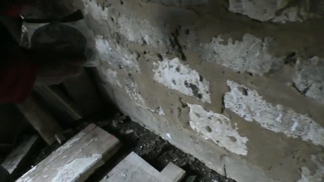 Как избавиться от мышей? Поставил пчел в зимовник. смотреть онлайн