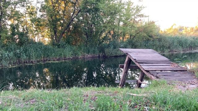 Последнее осеннее купание в Сентябре смотреть онлайн