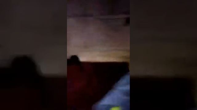 Хорёк дома)))( Хару). Когда в доме есть хорек) смотреть онлайн