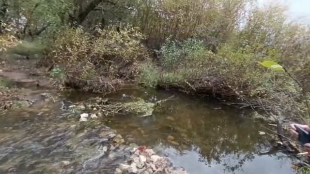 Осеннее золото Нерской смотреть онлайн