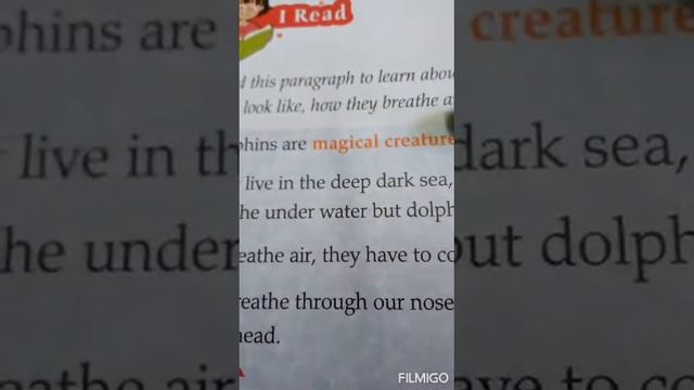 Read the lesson with Sonali teacher: lesson name All About Dolphins:24 смотреть онлайн