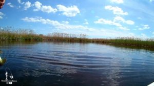 Рабочие воблеры для ловли Щуки в весенне-летний сезон! ТОП 10 уловистых бюджетных воблеров!