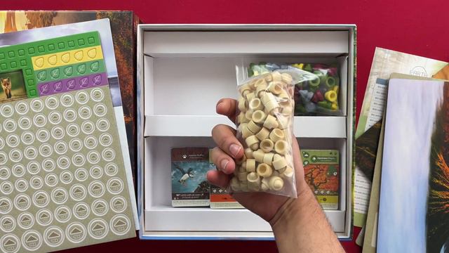 Silly Board Game Unboxings - February, 2023 - Earth, Power Plants, Bamboo, and more! смотреть онлайн