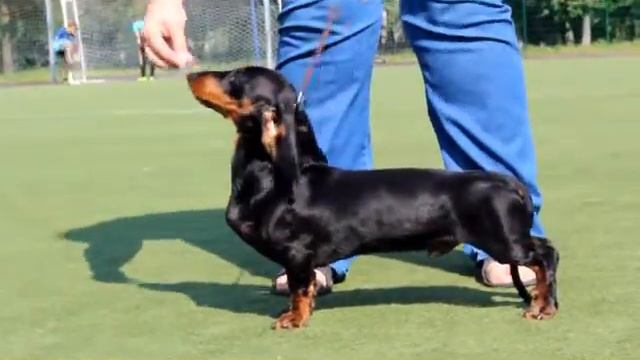 Штабс Капитан из Страны Грез смотреть онлайн