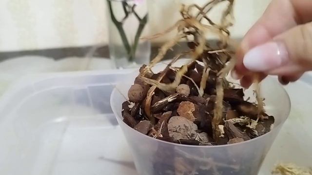 Ну вот и все, в мусор смотреть онлайн
