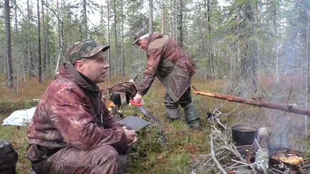 Осенняя охота на Глухаря с лайкой. Такие моменты запоминаются на всю жизнь. смотреть онлайн