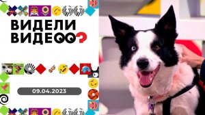 Видели видео? Выпуск от 09.04.2023
