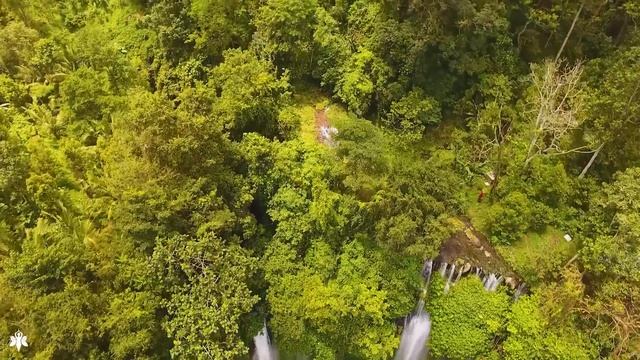 Расслабляющая музыка, чтобы уменьшить стресс, беспокойство и депрессию ? исцелить разум, тело и душ смотреть онлайн