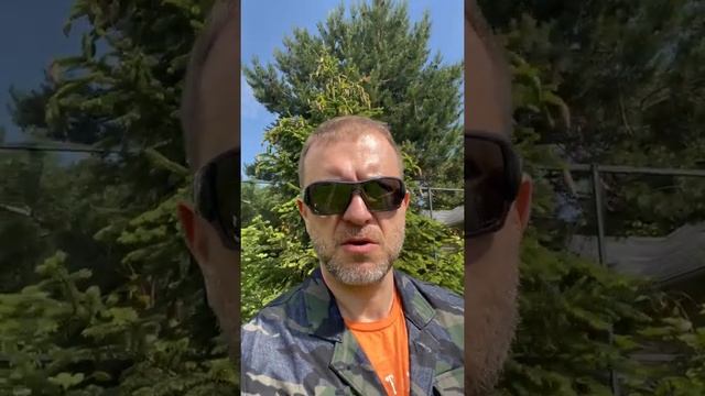 СНТ "Яблоневый цвет". Пионы смотреть онлайн