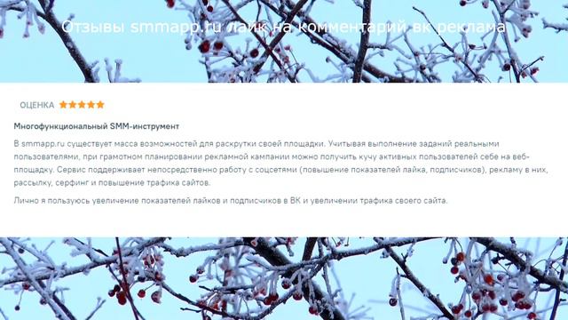 Отзывы smmapp.ru лайк на комментарий вк реклама смотреть онлайн
