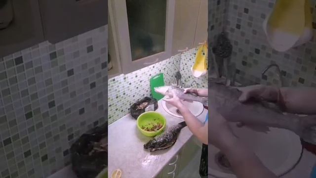 Рецепты для здоровой жизни 